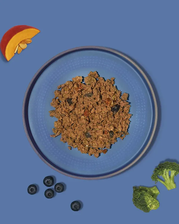Amanova_Natvoer_Lam_100g___Graanvrij_Compleet_Maaltijdzakje_voor_Honden