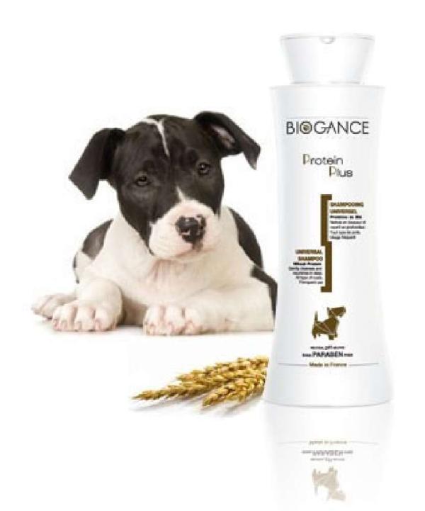 Biogance_Proteine_Plus_Shampoo