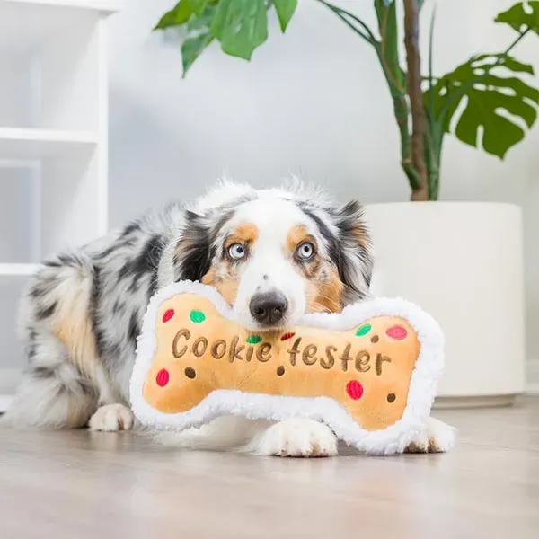 Lulubelles_Power_Plush___Large_Cookie_Tester_Bone_voor_de_Feestdagen__1