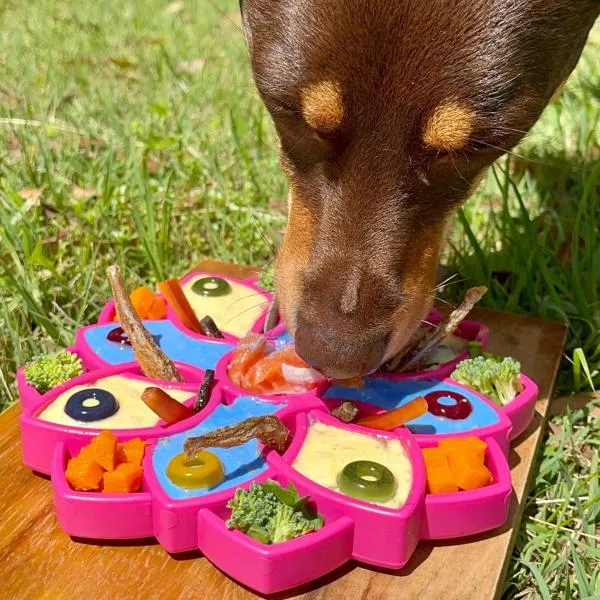 Mandala_Enrichment_Tray___Voerbak____20_cm___Roze_2