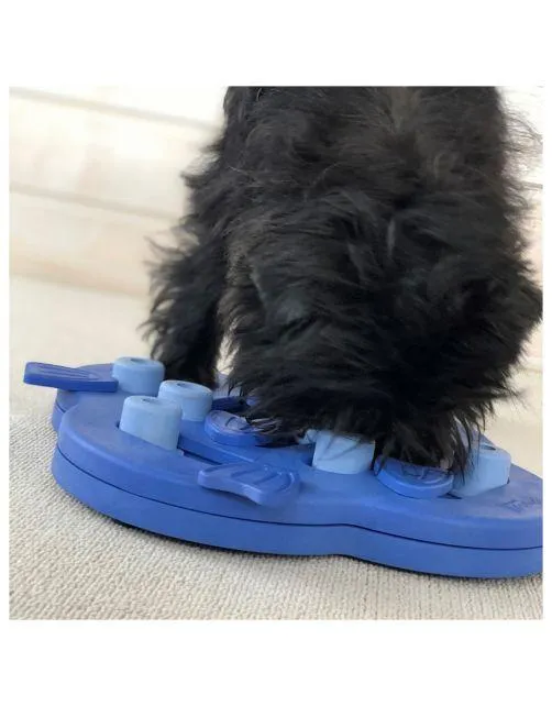 Nina_Ottosson_Dog_Hide_N__Slide___Daag_je_hond_uit_met_dit_interactieve_spel__2