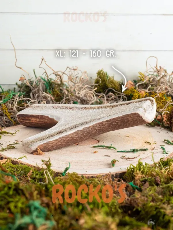Rocko_s_Hertengewei_Split_XL___Natuurlijk_Kauwbot_voor_Honden_1