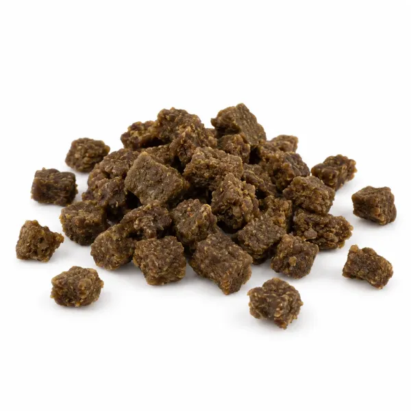 Rocko_s_Vleestrainers_Eend_100_gram