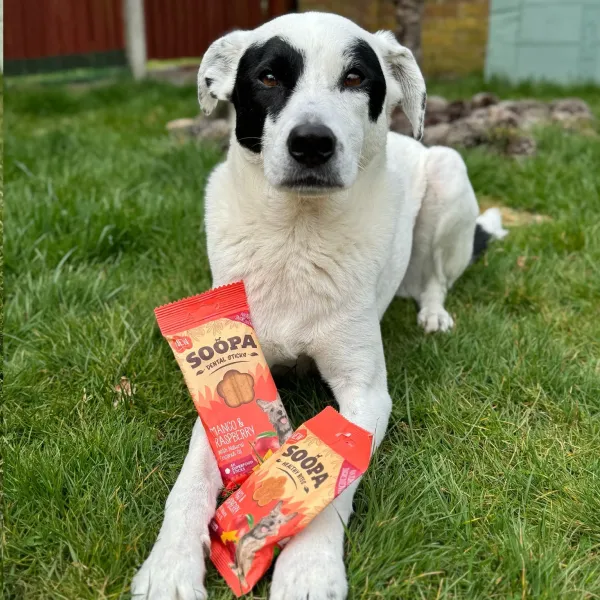 Soopa_Dental_Stick_Mango___Raspberry___Vegan_Tandverzorgende_Kauwsticks_voor_Honden___4_stuks__3