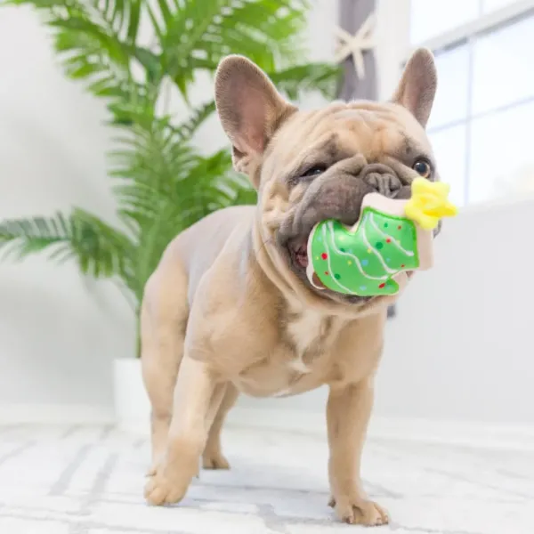 Tiny_Tuff_Christmas_Treats___Perfect_Kerstcadeau_voor_Honden_1