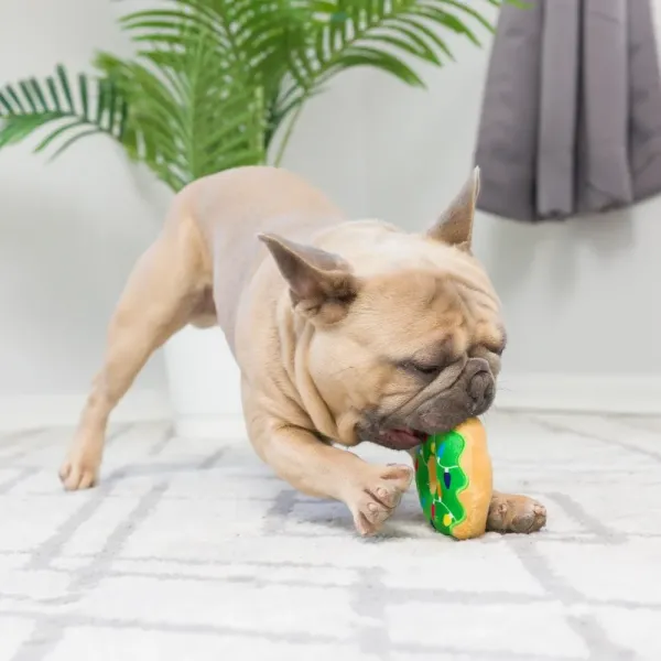 Tiny_Tuff_Dunk___Crunch___Perfect_Kerstcadeau_voor_Honden_2