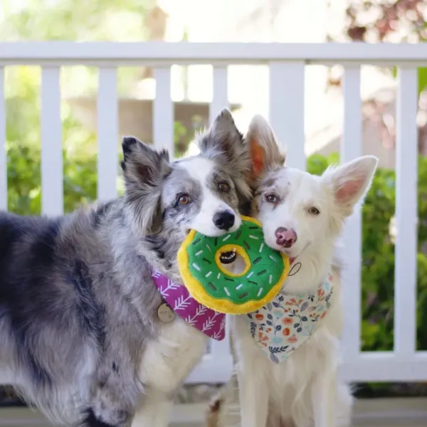 ZippyPaws_Donutz_Medium_Mint_Chip___Bijtbestendig_en_Duurzaam__2