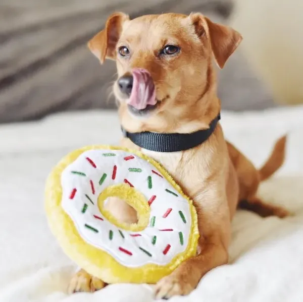 ZippyPaws_Donutz_Medium_Peppermint___Het_perfecte_speelgoed_voor_honden__2