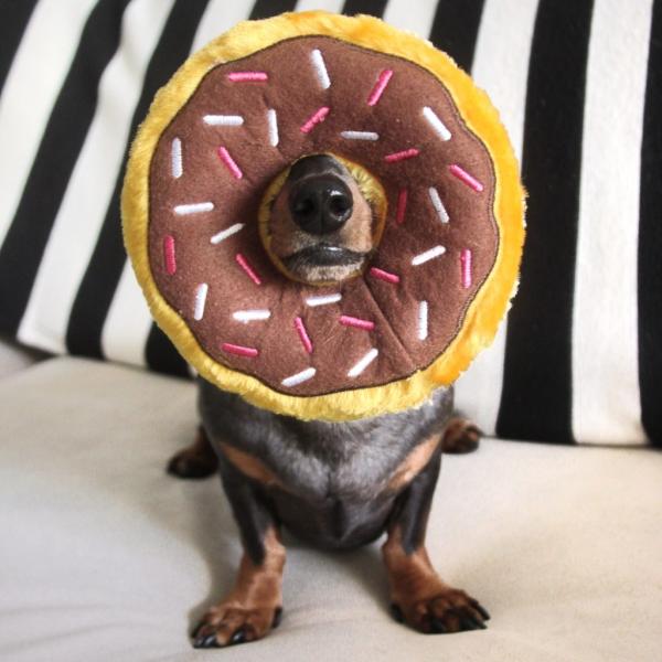 ZippyPaws_Donutz___Chocolate_1