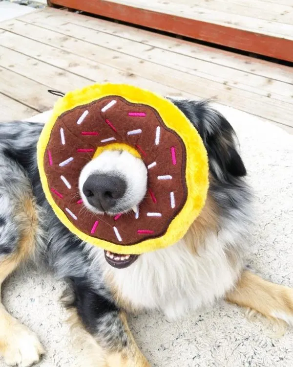 ZippyPaws_Donutz___Chocolate_5