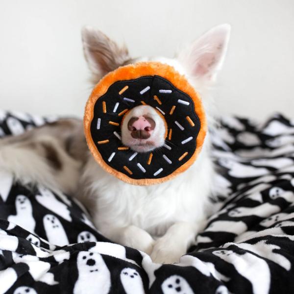 ZippyPaws_Donutz___Pumpkin_Spice_2