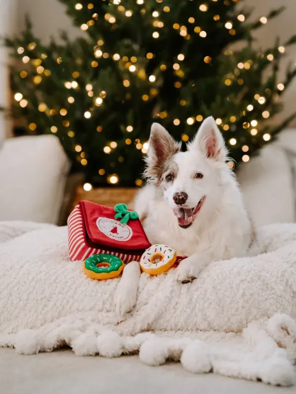 ZippyPaws_Holiday_Burrow_Donutz_Box___Het_ultieme_interactieve_speeltje_voor_honden__3