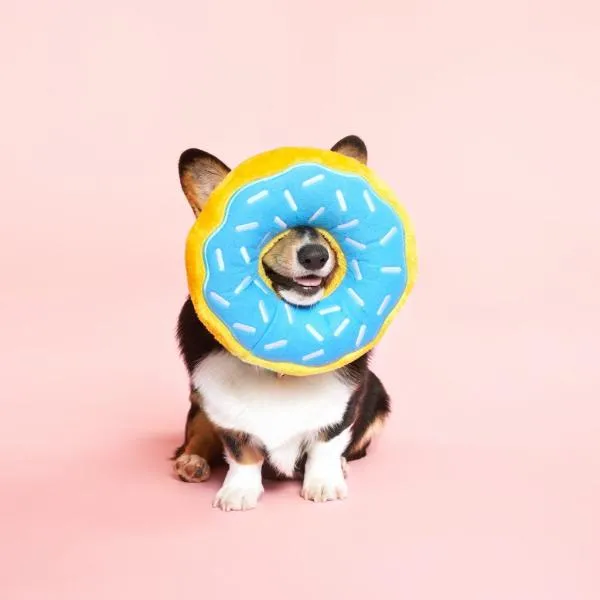 ZippyPaws_Jumbo_Donutz___Blueberry_3