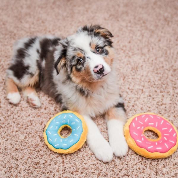 ZippyPaws_Mini_Donutz___Blueberry_2